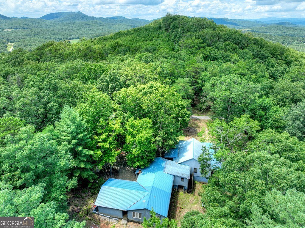 1170 Winchester Creek Young Harris - 57