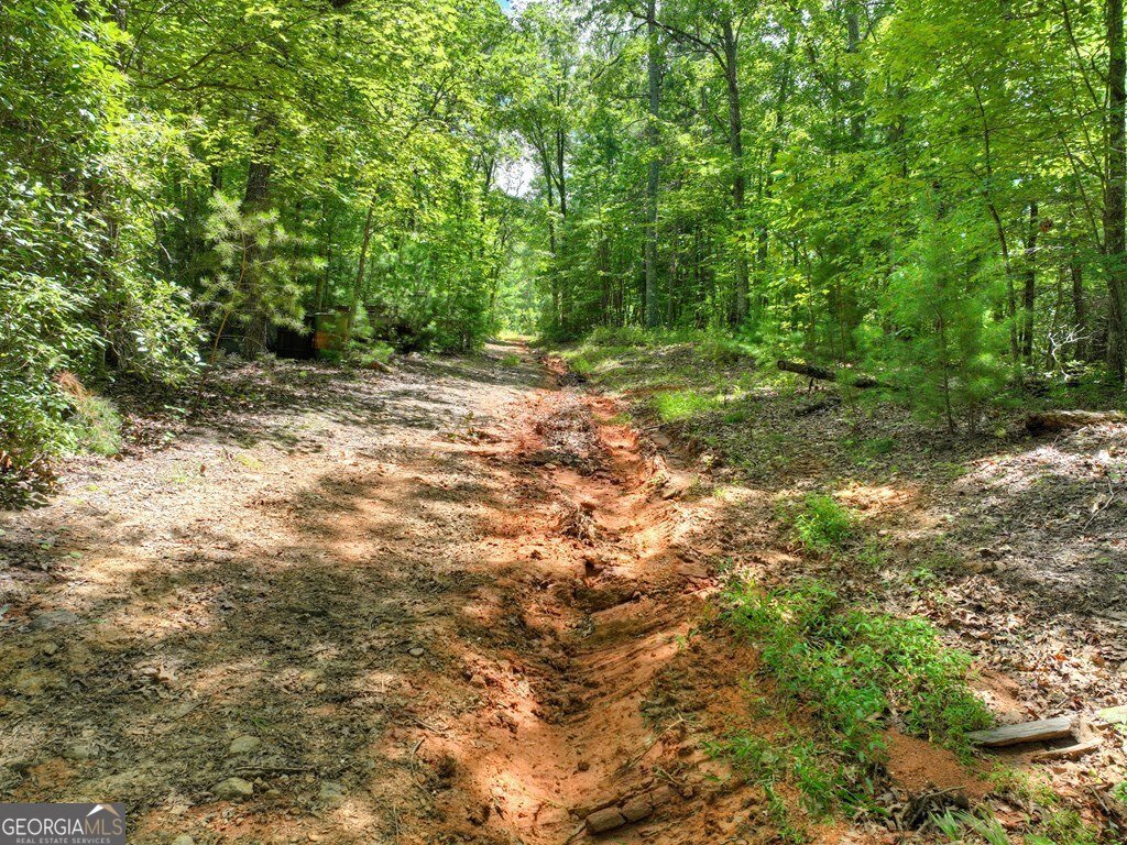 1170 Winchester Creek Young Harris - 59