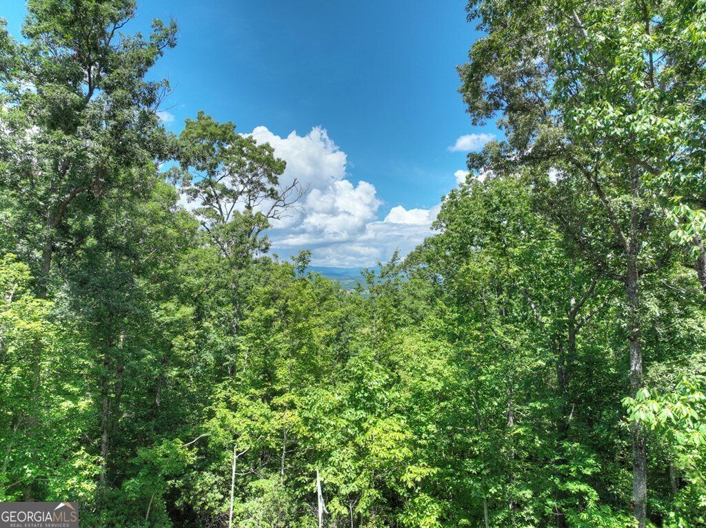1170 Winchester Creek Young Harris - 62
