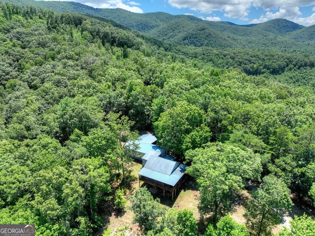 1170 Winchester Creek Young Harris - 64