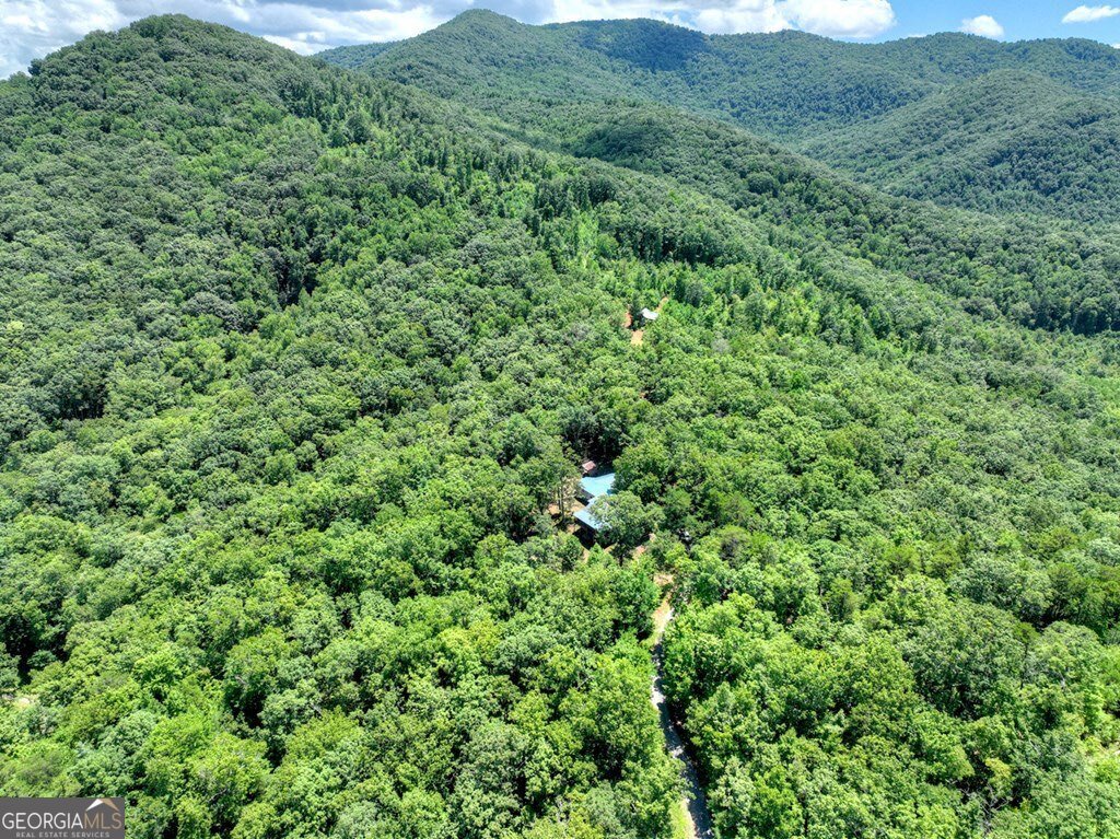 1170 Winchester Creek Young Harris - 65