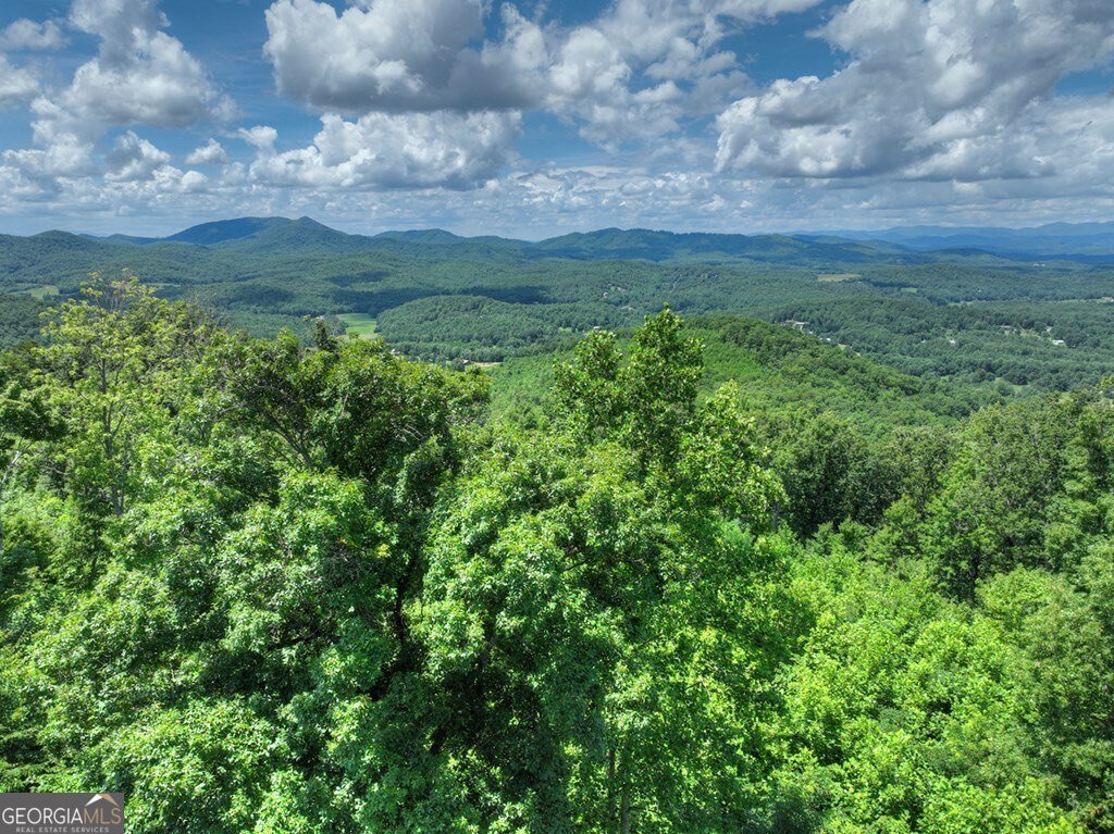 1170 Winchester Creek Young Harris - 71
