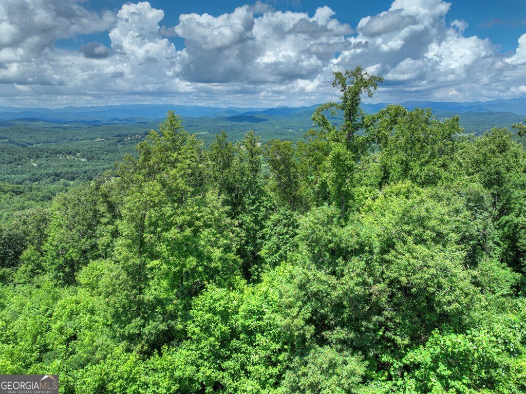 1170 Winchester Creek Young Harris - 72