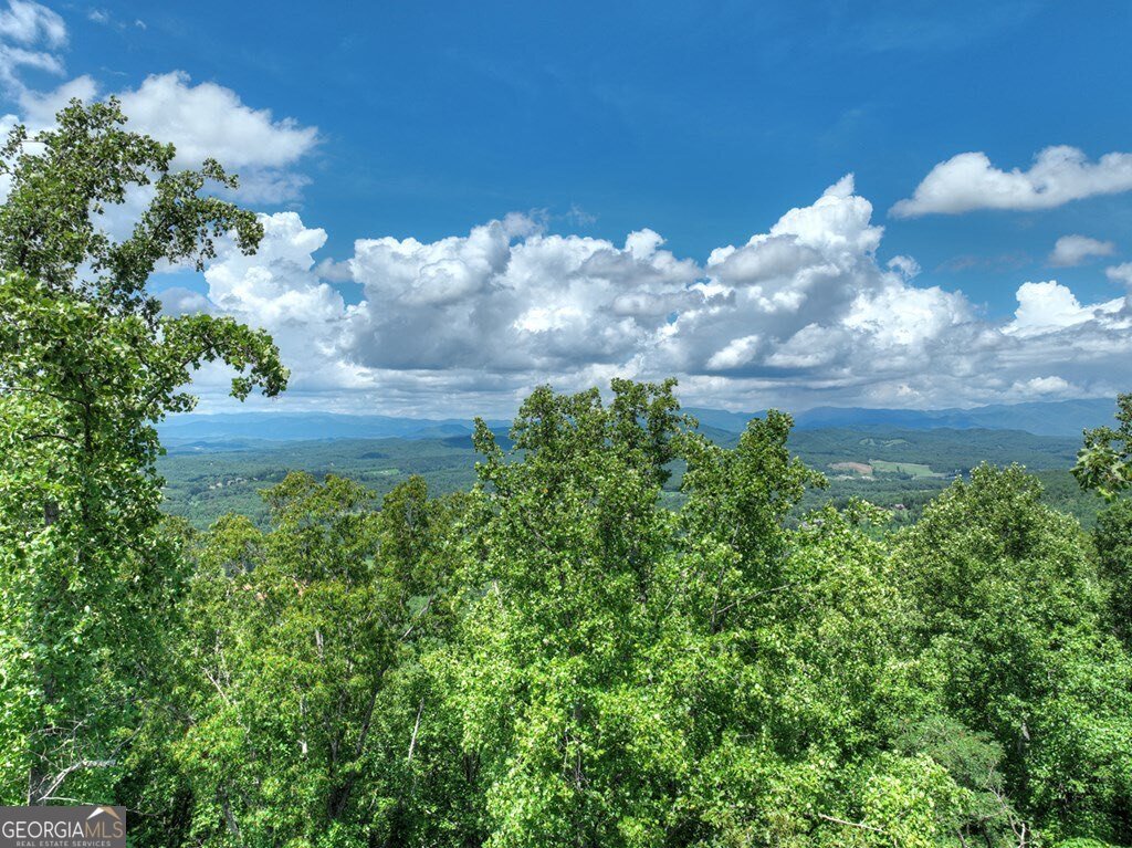 1170 Winchester Creek Young Harris - 73