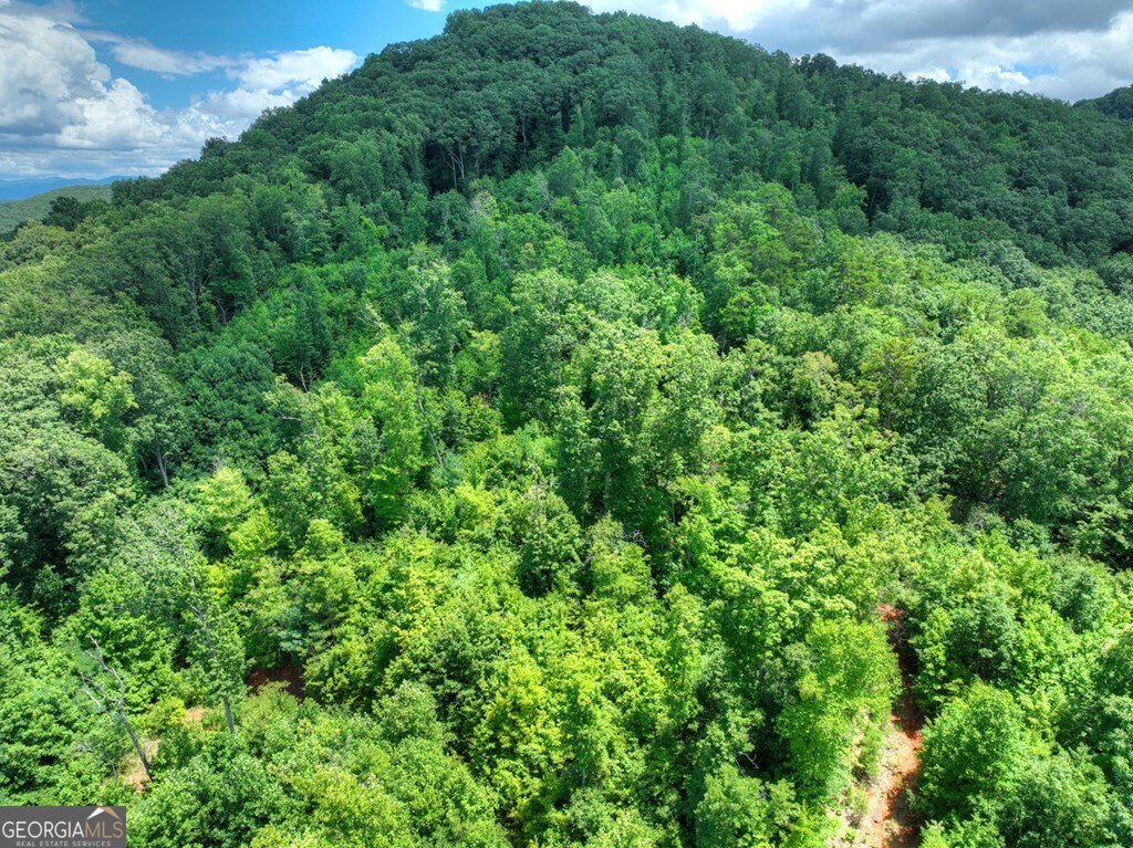 1170 Winchester Creek Young Harris - 82