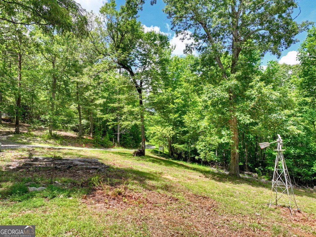 1170 Winchester Creek Young Harris - 91