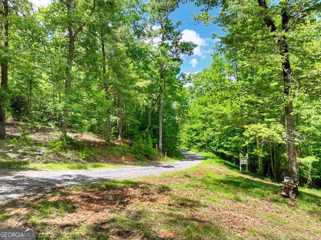 1170 Winchester Creek Young Harris - 92