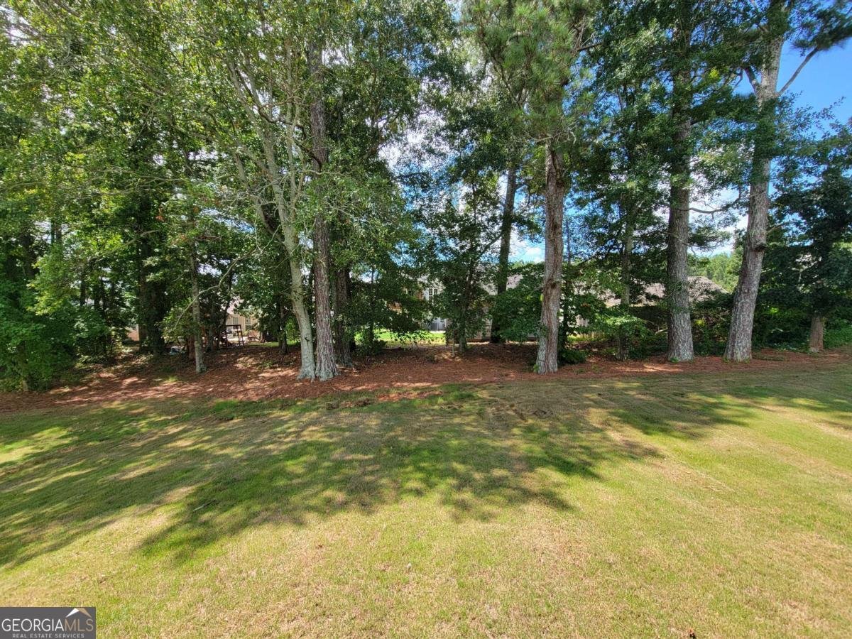 416 Silverleaf Trail Bethlehem - 26