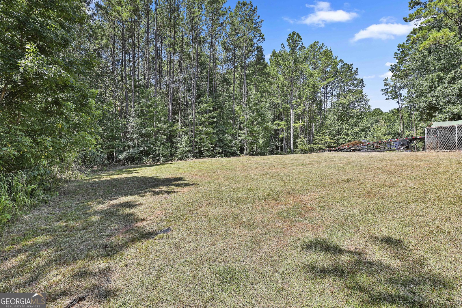 1807 McIntosh Trail Senoia - 27