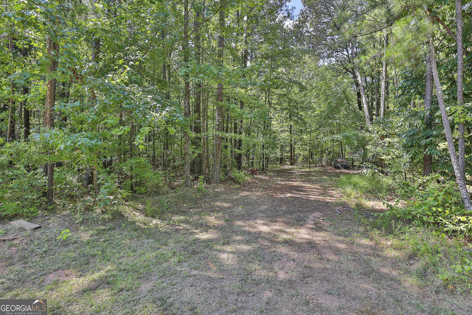 1807 McIntosh Trail Senoia - 31