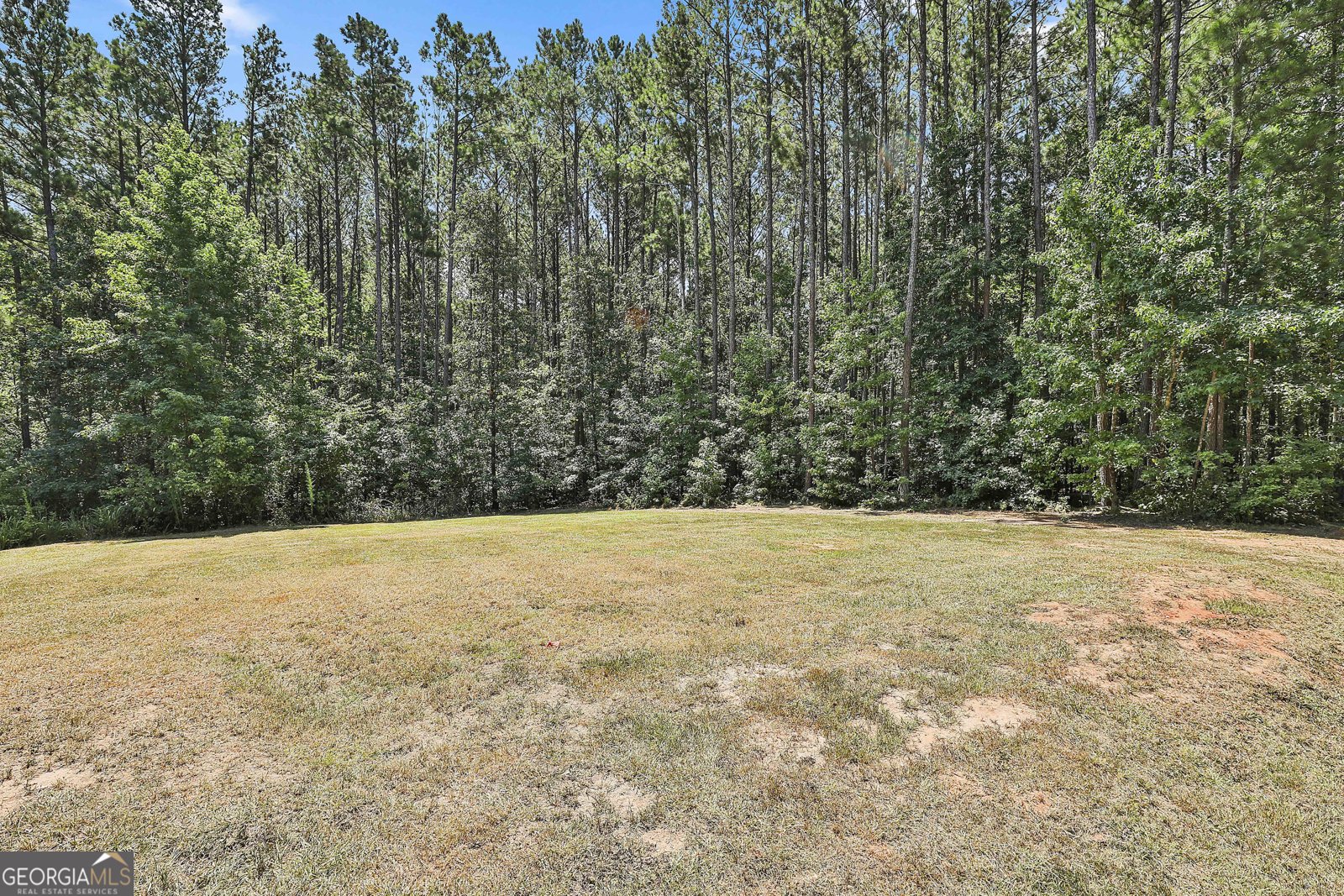 1807 McIntosh Trail Senoia - 32