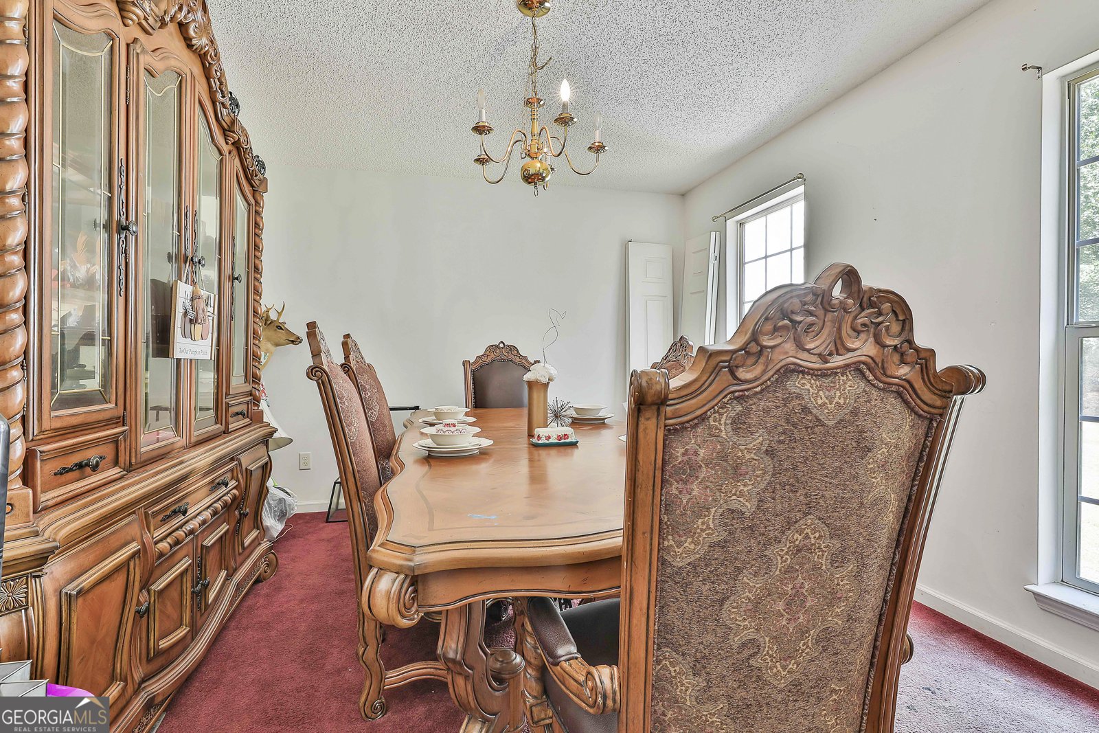 1807 McIntosh Trail Senoia - 8
