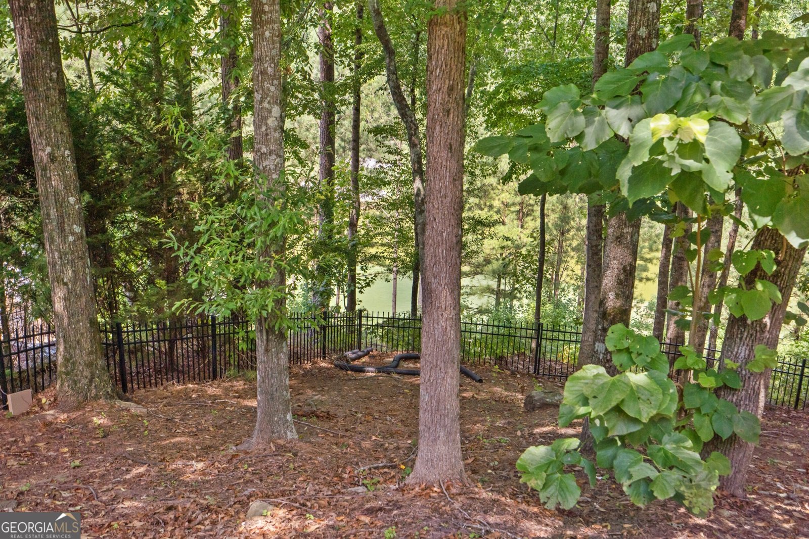 3140 Glastonbury Lane Suwanee - 36