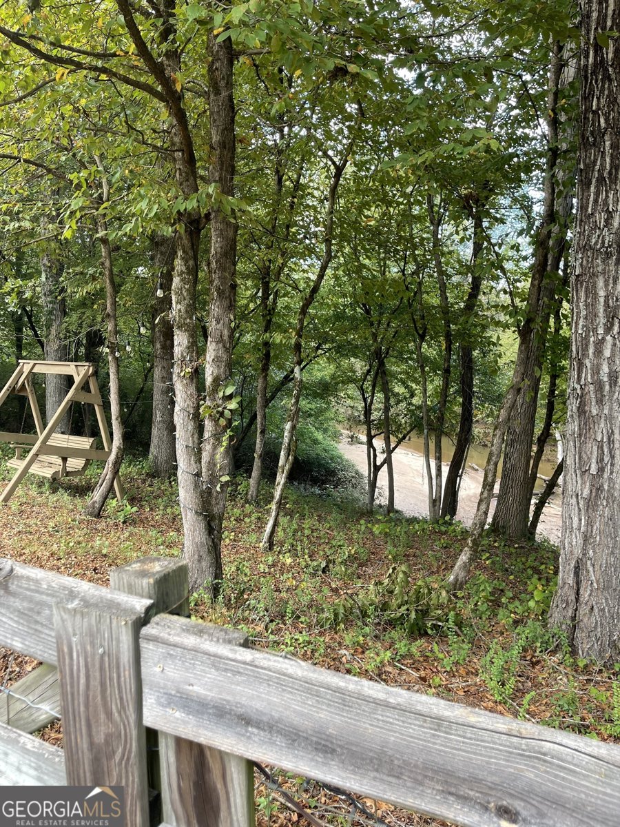 1632 Great Shoals Drive Lawrenceville - 61