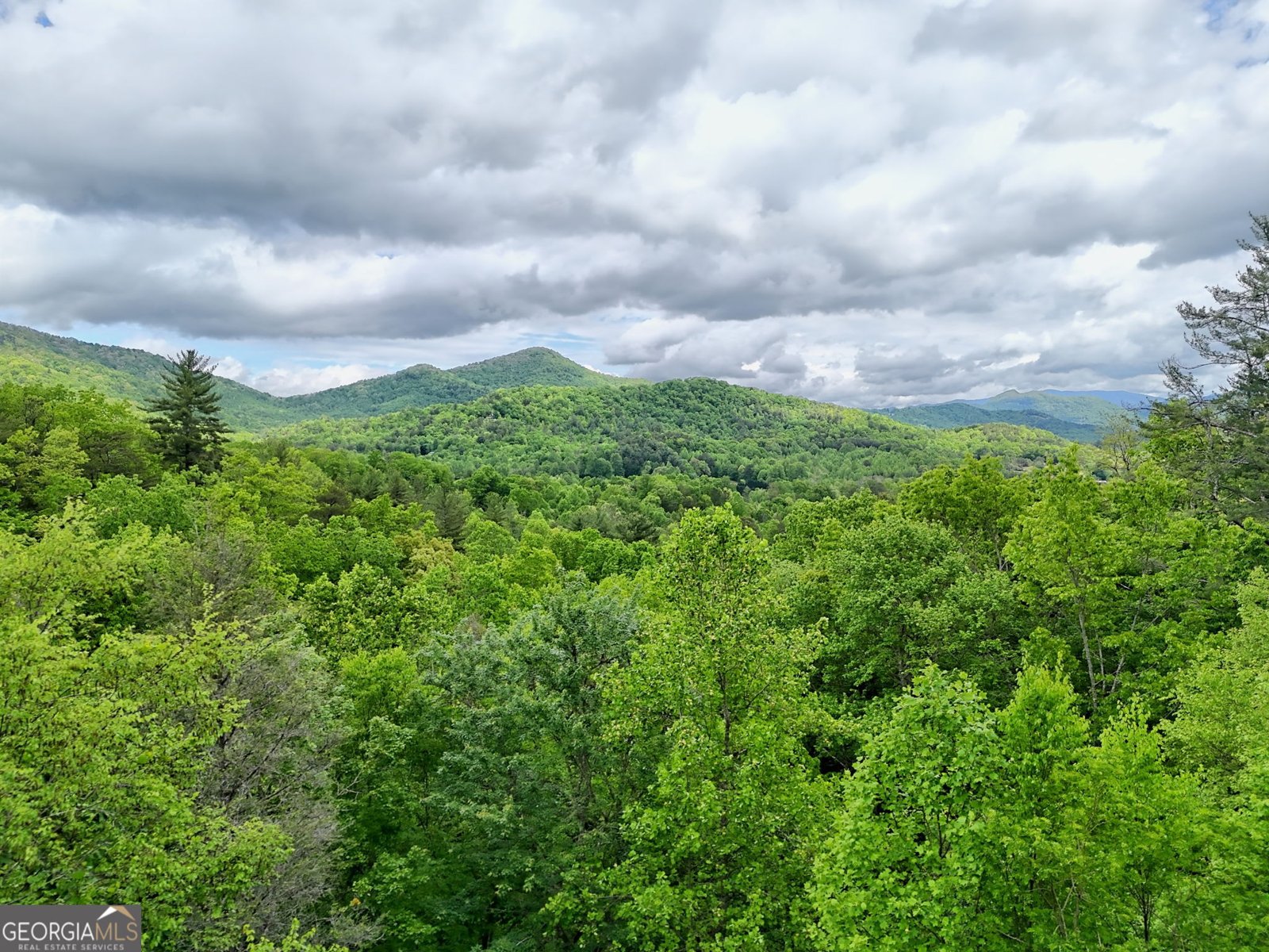 995 Glassy Mtn Road Hiawassee - 3