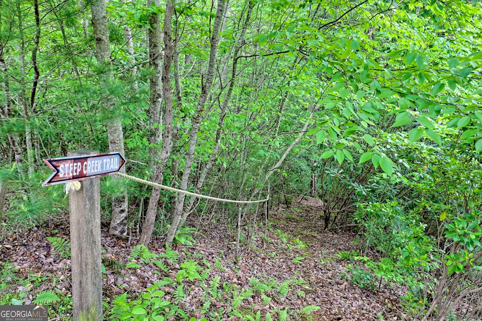995 Glassy Mtn Road Hiawassee - 68