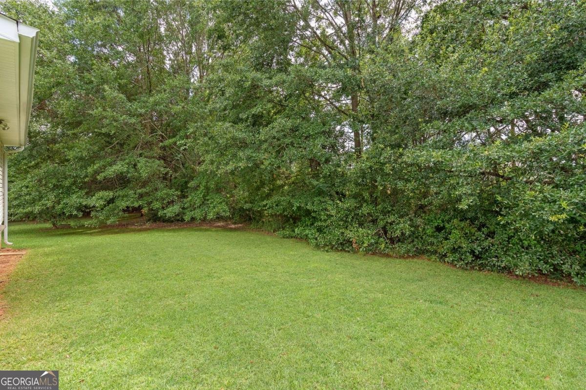 110 Stoney Brook Drive Carrollton - 14