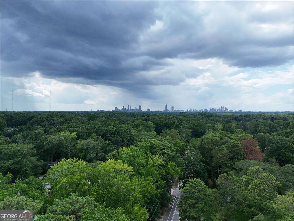 613 Pinetree Drive Decatur - 54