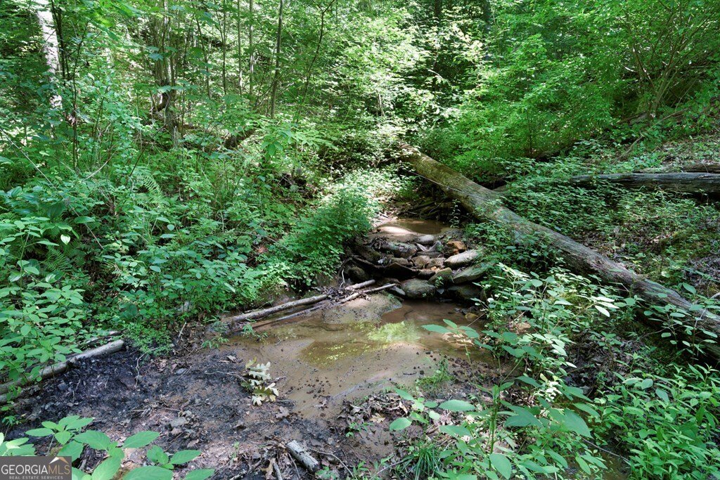 731 Gage Drive Hiawassee - 3