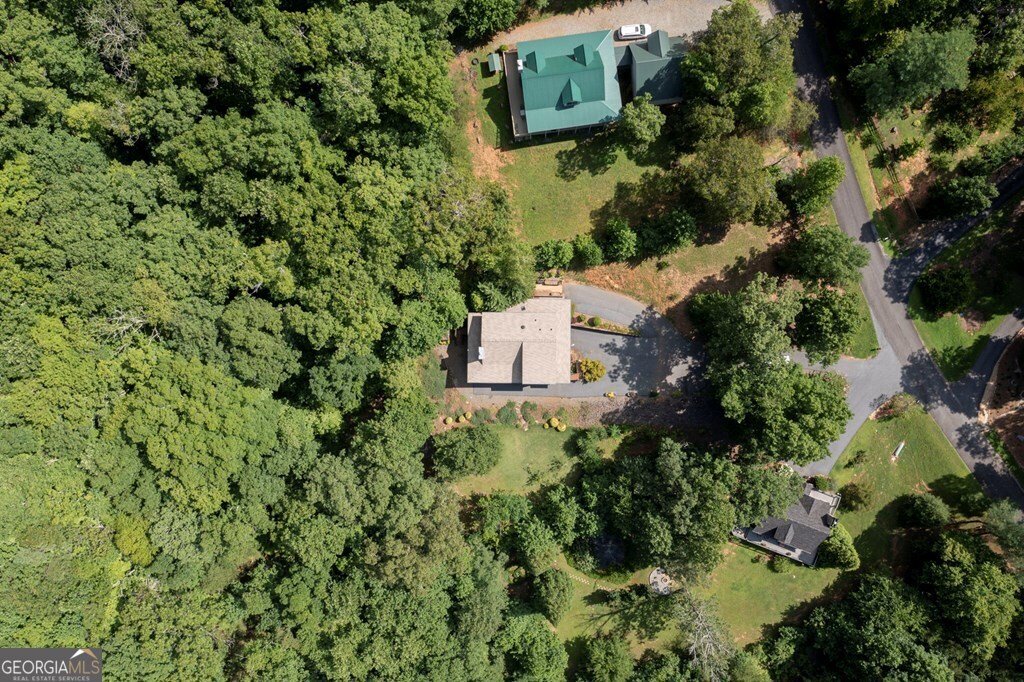 731 Gage Drive Hiawassee - 51