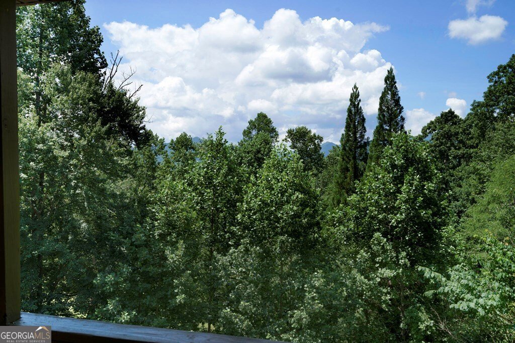 731 Gage Drive Hiawassee - 52
