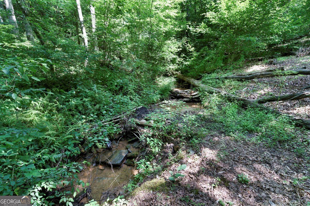 731 Gage Drive Hiawassee - 53