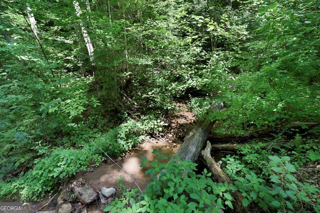 731 Gage Drive Hiawassee - 55