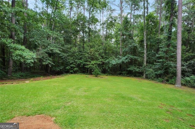 50 OAK LEAF Drive Stockbridge - 41