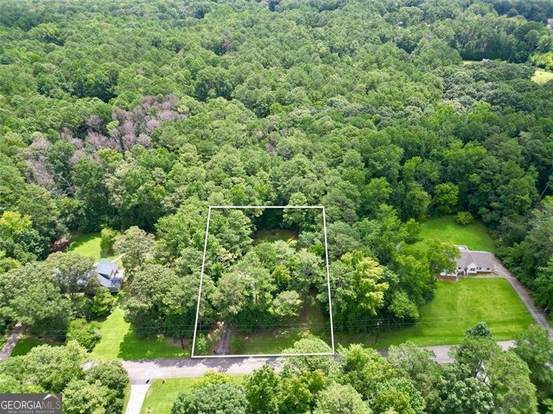 50 OAK LEAF Drive Stockbridge - 45