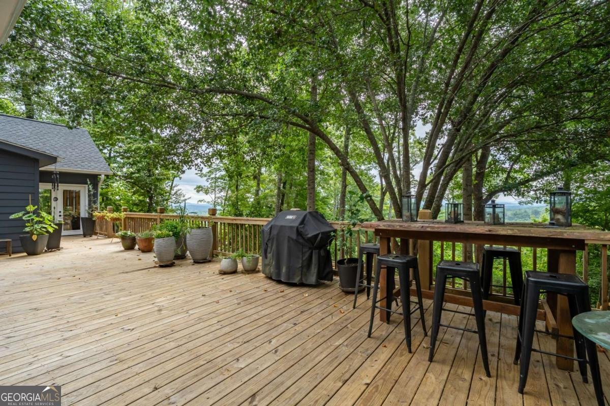2191 Old Hwy 5 Blue Ridge - 46