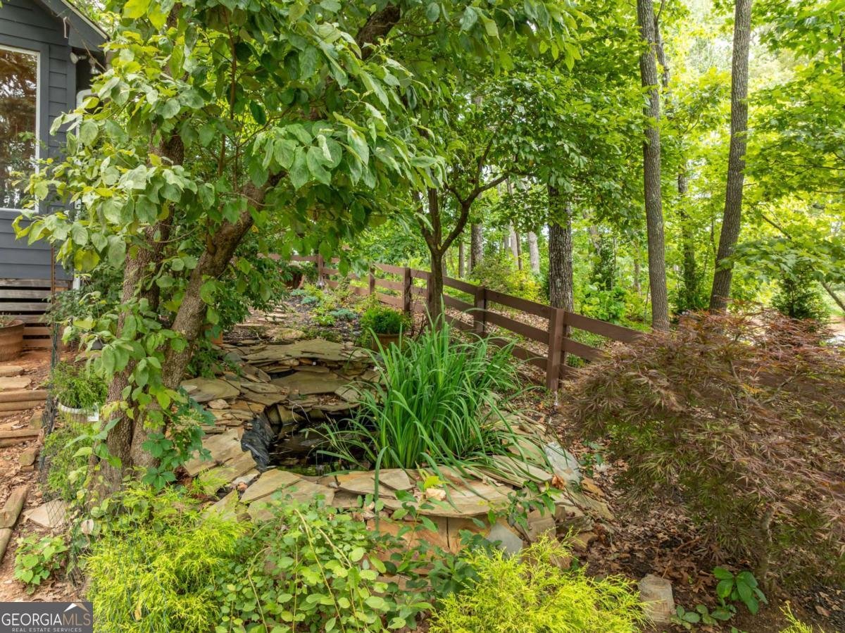2191 Old Hwy 5 Blue Ridge - 49