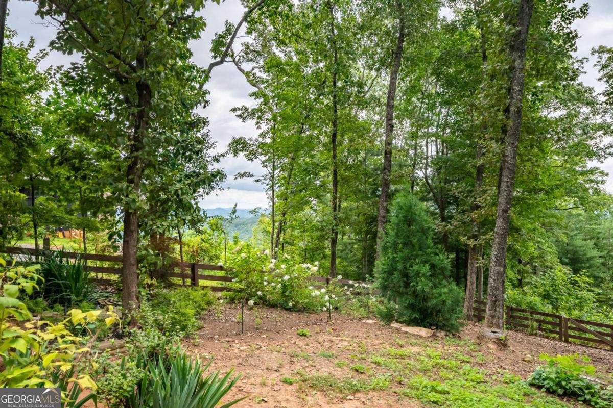 2191 Old Hwy 5 Blue Ridge - 50