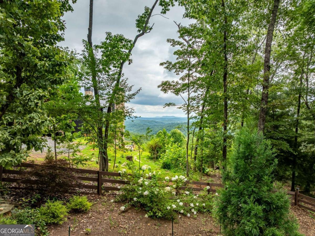 2191 Old Hwy 5 Blue Ridge - 52