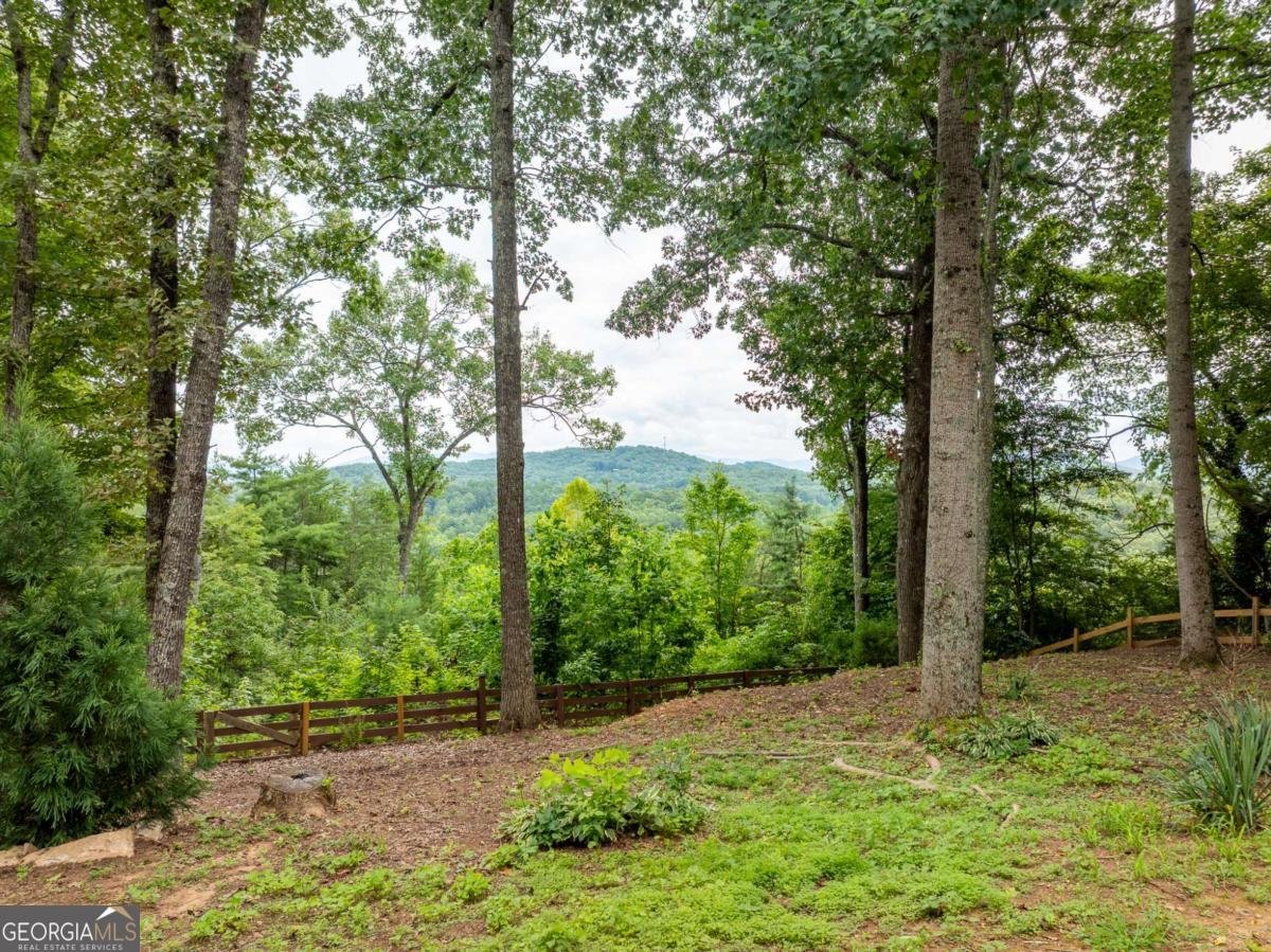 2191 Old Hwy 5 Blue Ridge - 54