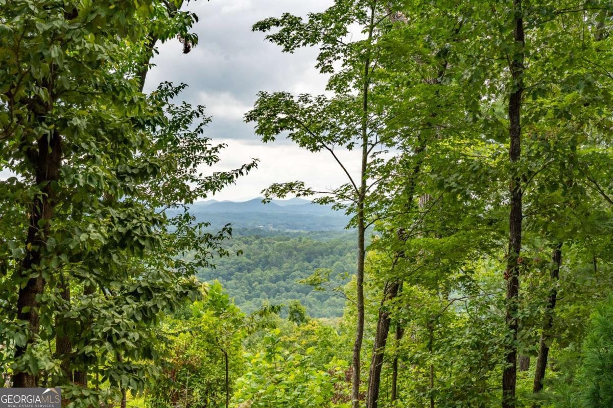 2191 Old Hwy 5 Blue Ridge - 55