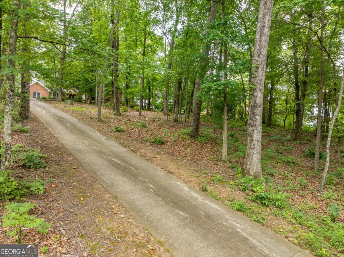 2191 Old Hwy 5 Blue Ridge - 63