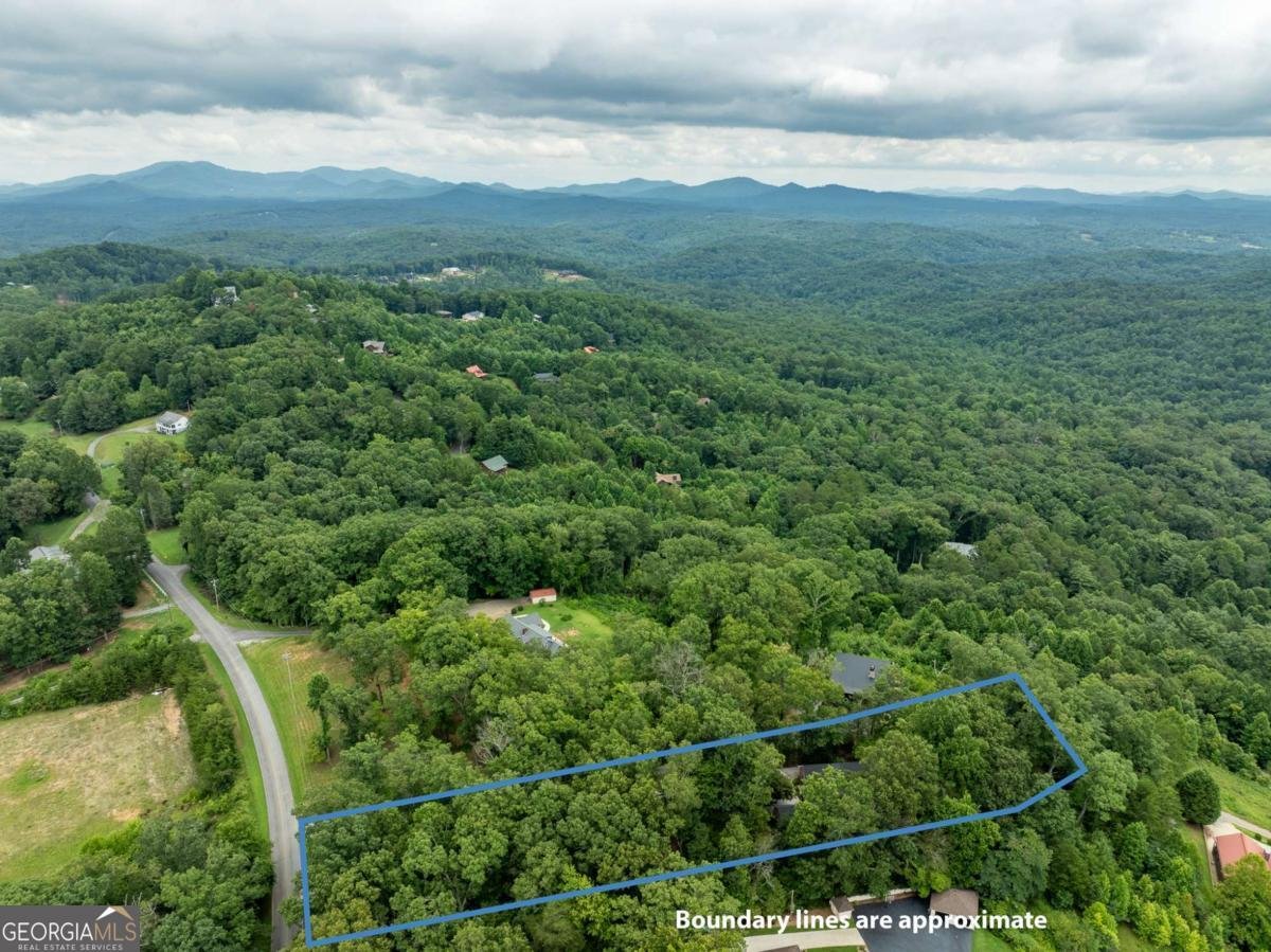 2191 Old Hwy 5 Blue Ridge - 66