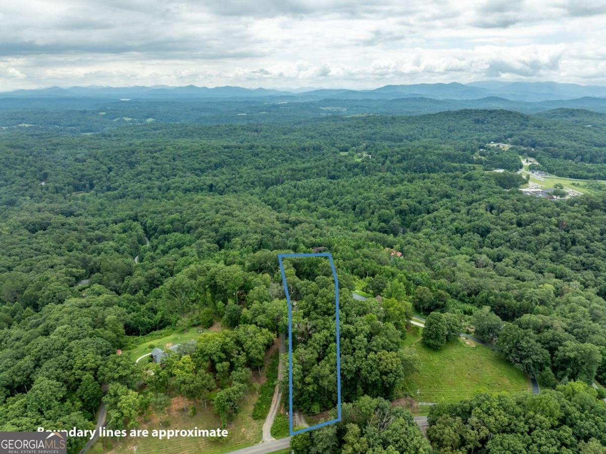2191 Old Hwy 5 Blue Ridge - 67