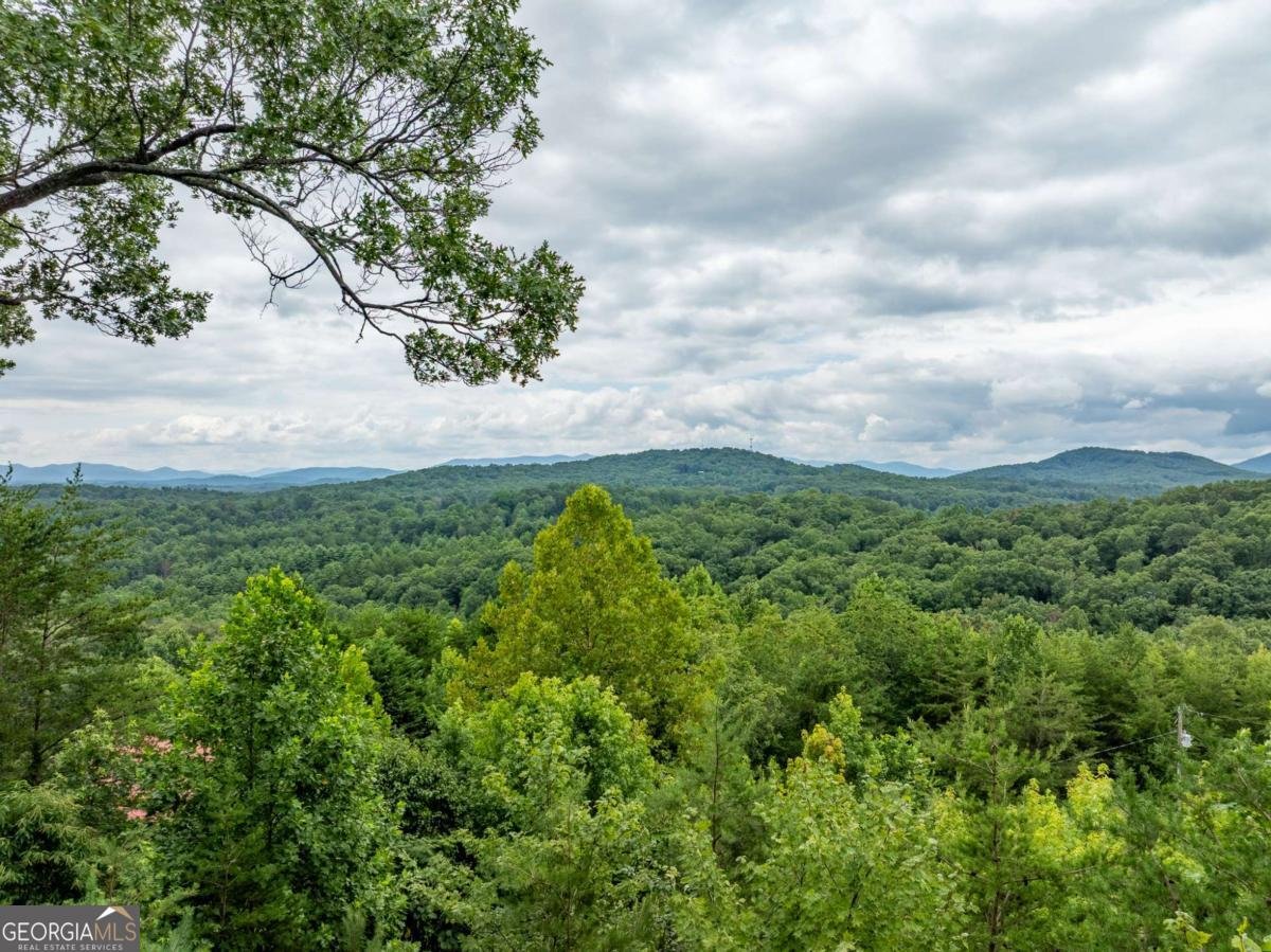 2191 Old Hwy 5 Blue Ridge - 68