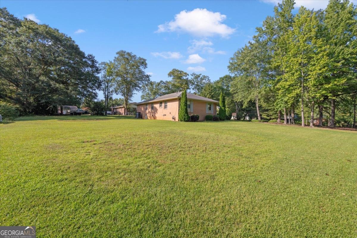 6312 Cornelia Drive Douglasville - 5