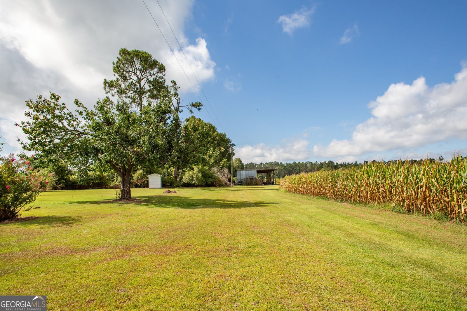 596 Teakwood Road Alma - Photo 6