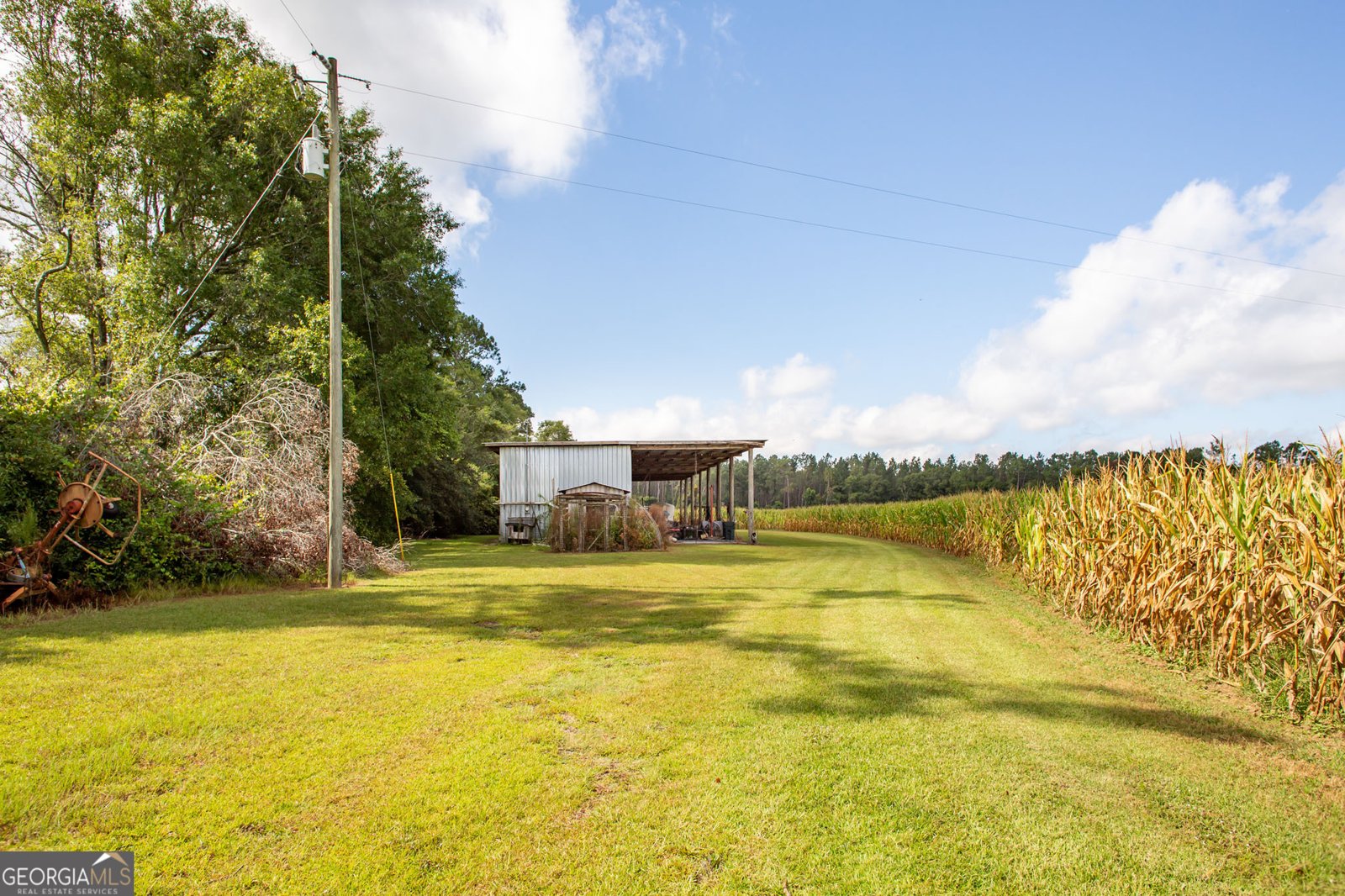 596 Teakwood Road Alma - Photo 7