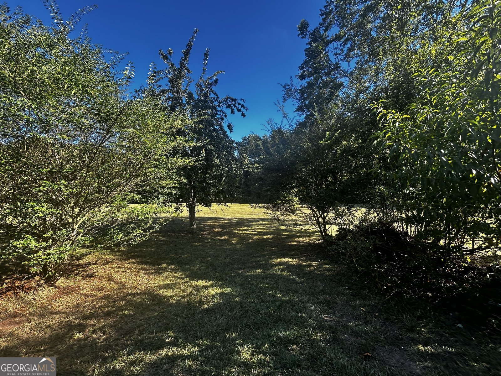 91 Almetie Drive Toccoa - 18