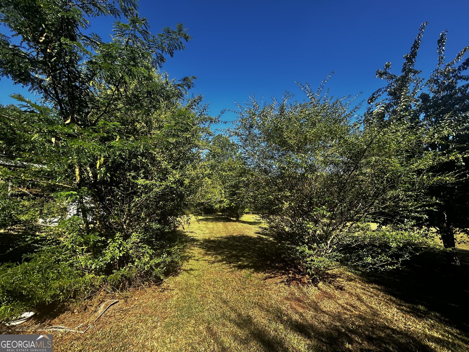 91 Almetie Drive Toccoa - 19