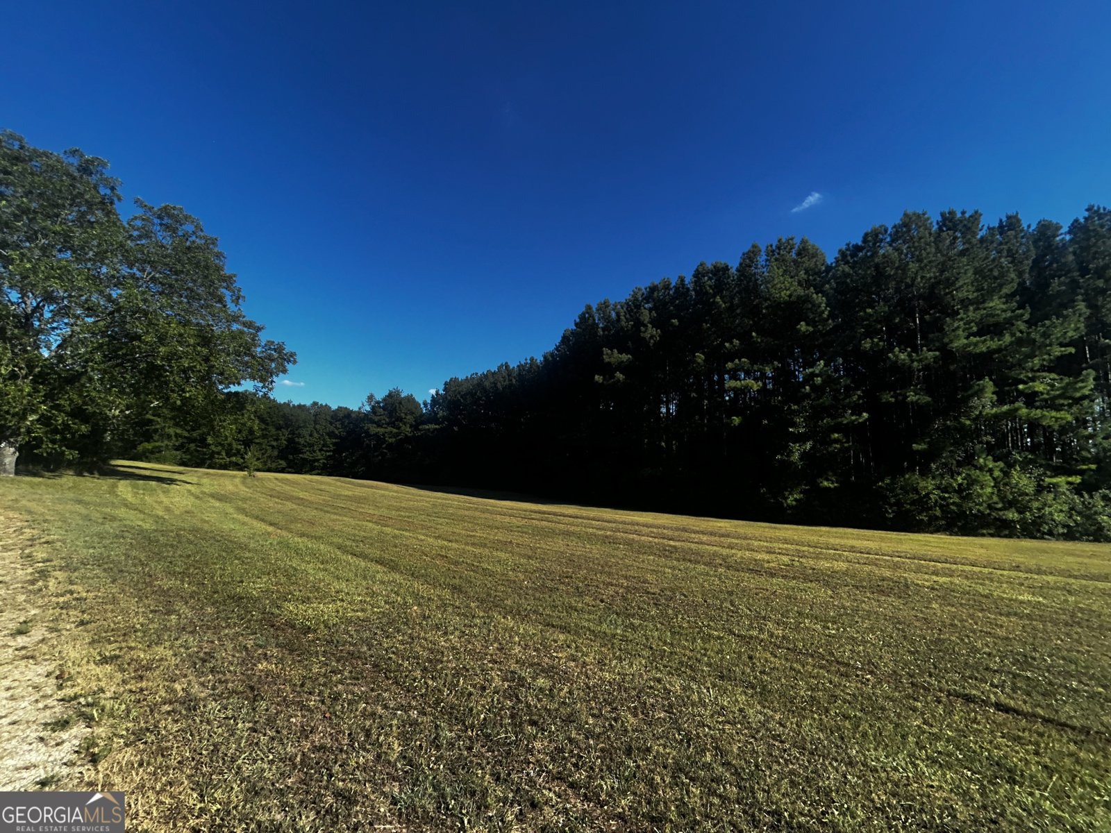 91 Almetie Drive Toccoa - 2