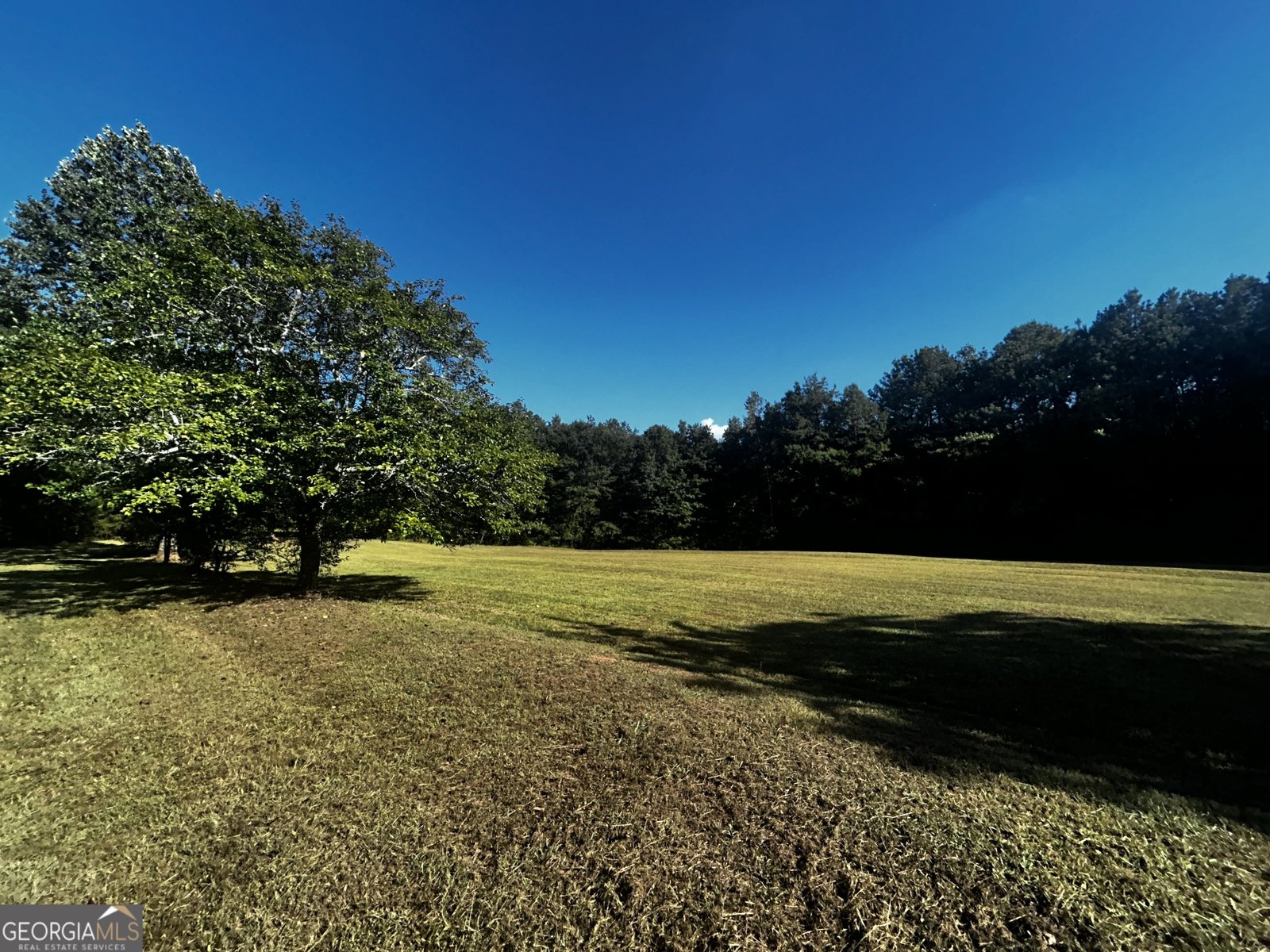 91 Almetie Drive Toccoa - 3