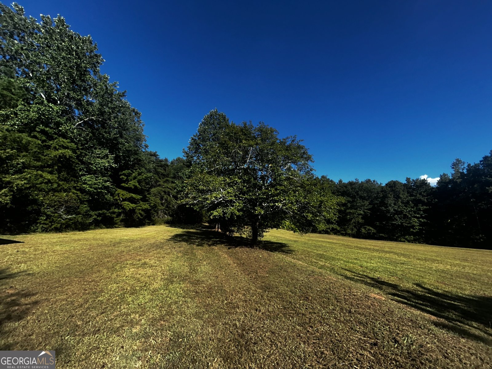 91 Almetie Drive Toccoa - 7