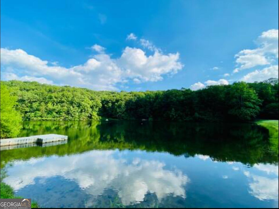 1021 Walnut Ridge Ellijay - 41