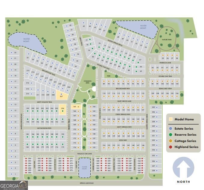 161 Martin Spring Road Lawrenceville - 3