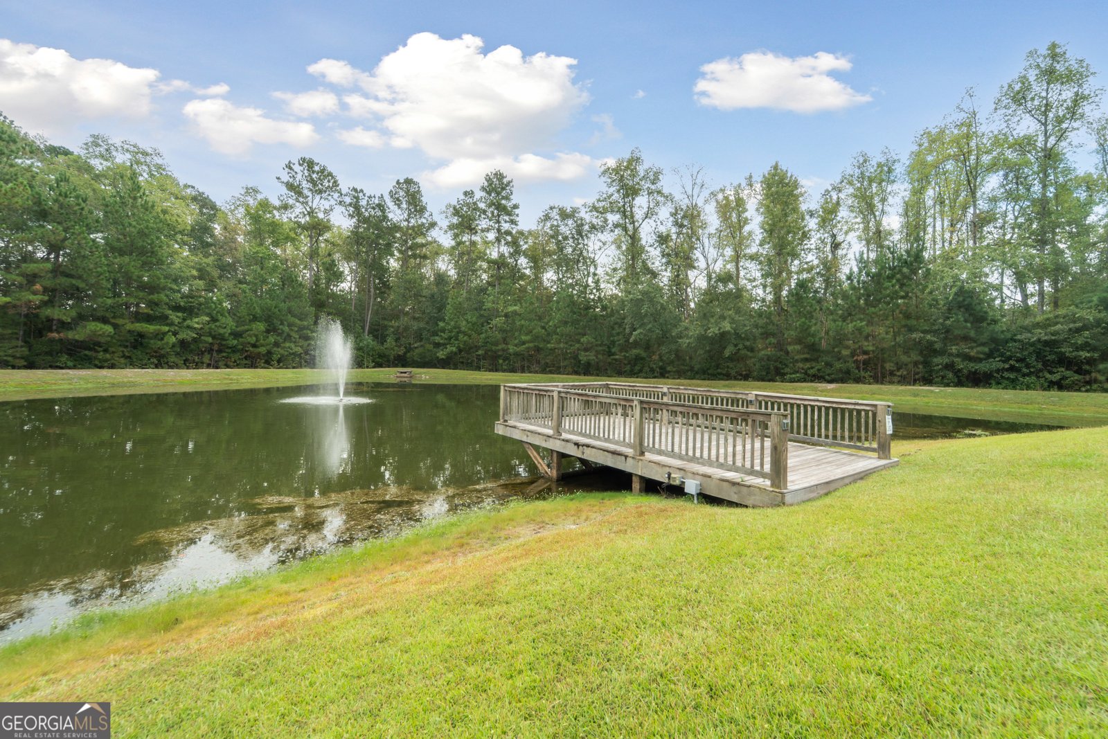 103 Beaubrook Crossing Springfield - 44